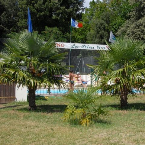 Camping Les Chênes Verts - Camping Charente-Maritime - Image N°2